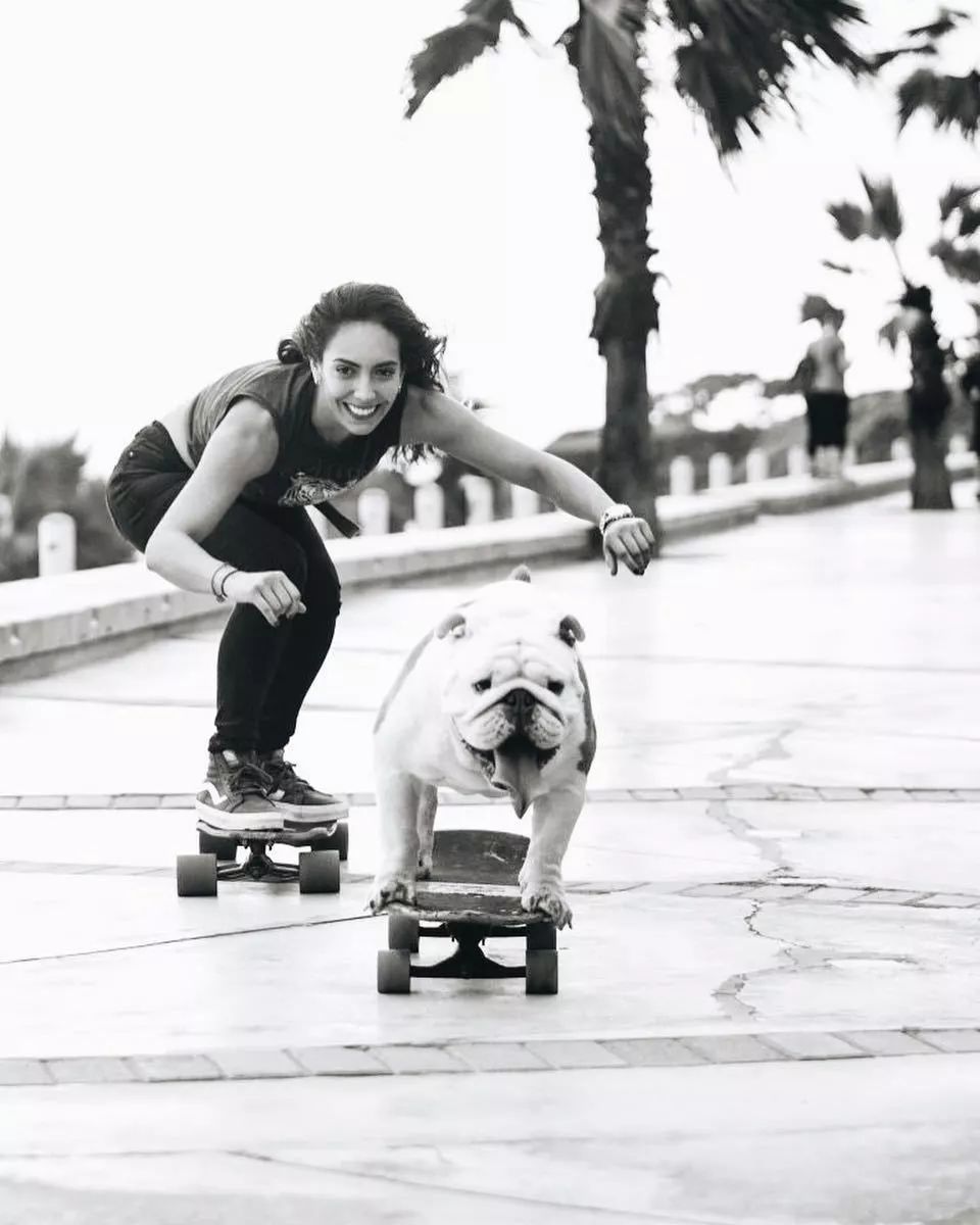 如何在日常生活中判断狗狗的健康,怎么从外表判断狗狗的健康情况