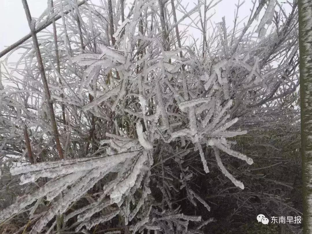 泉州九仙山下雪风景,泉州九仙山再现云海