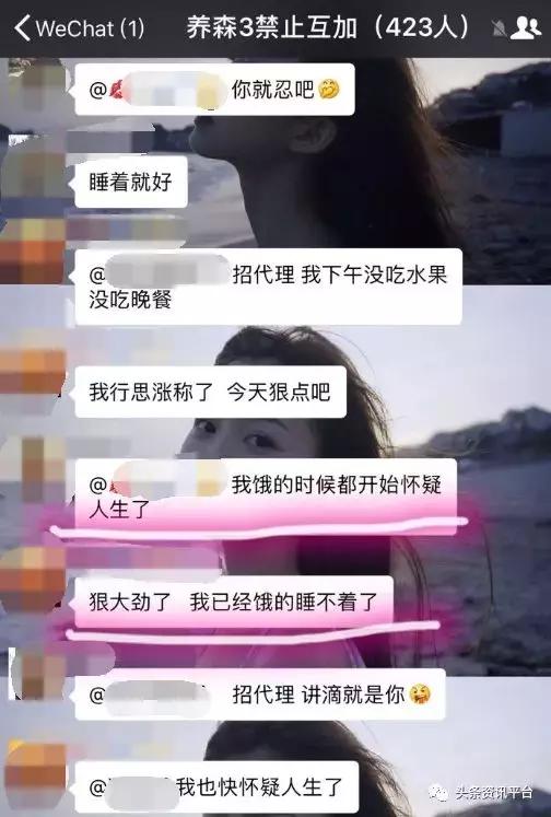 丽美人个人资料,丽美人月季