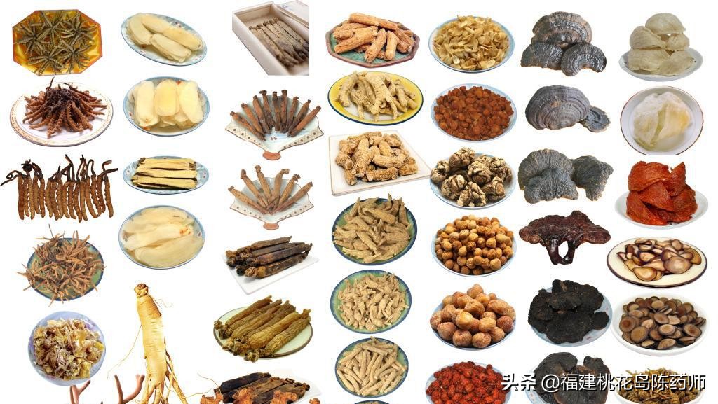 与药物相关的名词你知道多少？