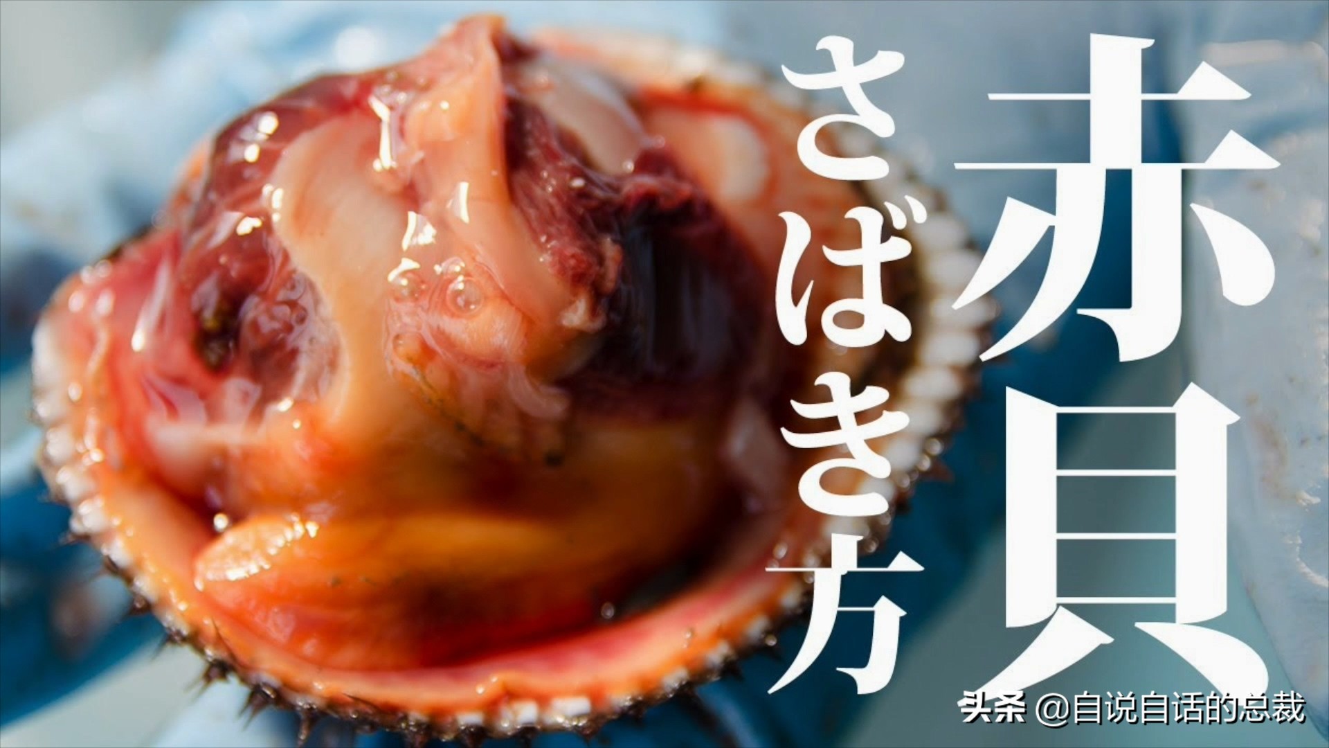 蚬蚌蛏的区别是什么,蚶子蛤蜊蚬子区别