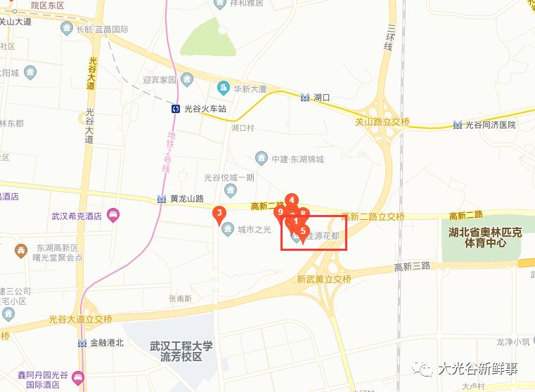 武汉地铁13号线佳源花都站,武汉12号线地铁最新进展团结大道