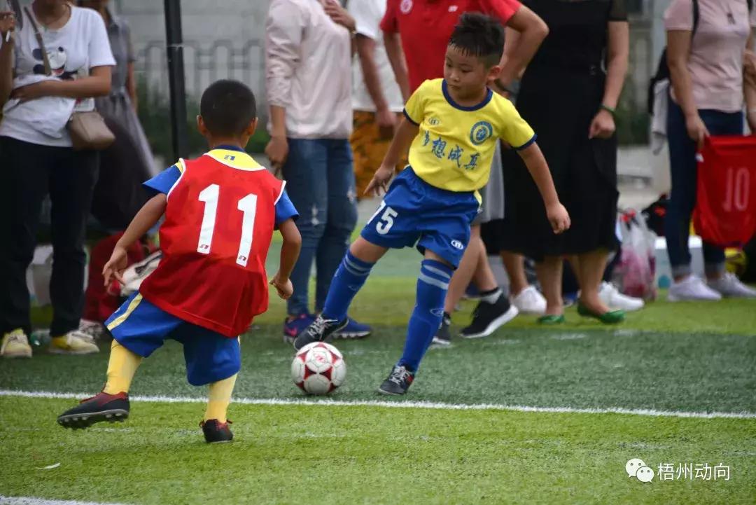 足球训练营公益,足球带给孩子们更多的快乐和成长