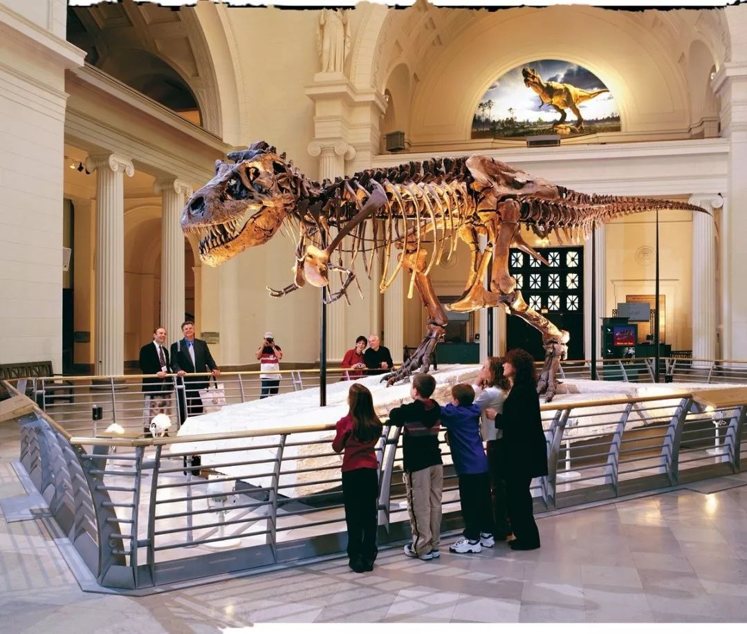 夏威夷和芝加哥哪个好玩,美国芝加哥去哪玩