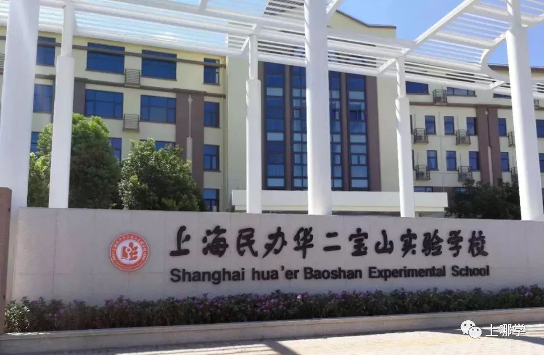 宝山教育洼地,教育洼地