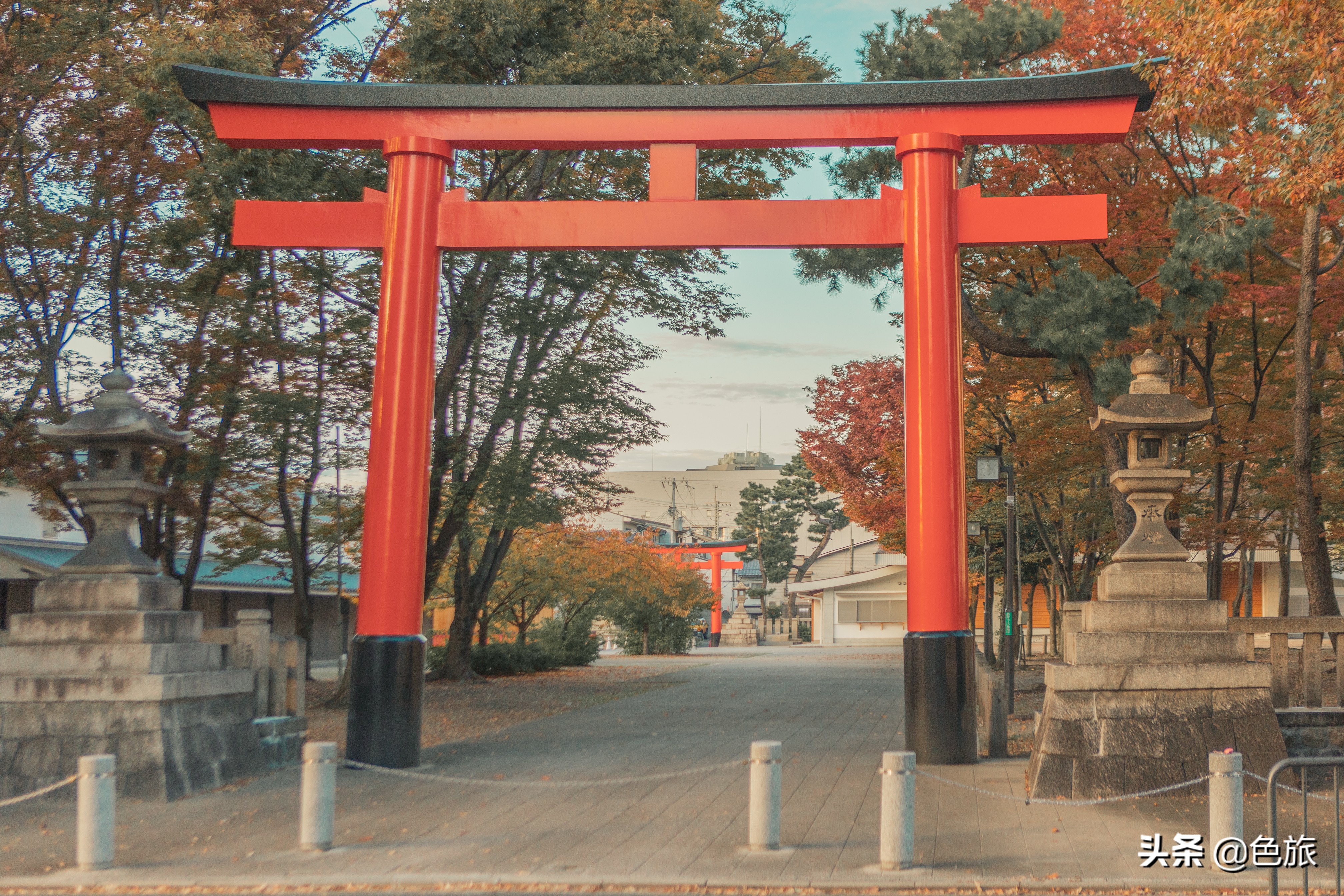 妖猫传日本访唐,妖猫传日本大师