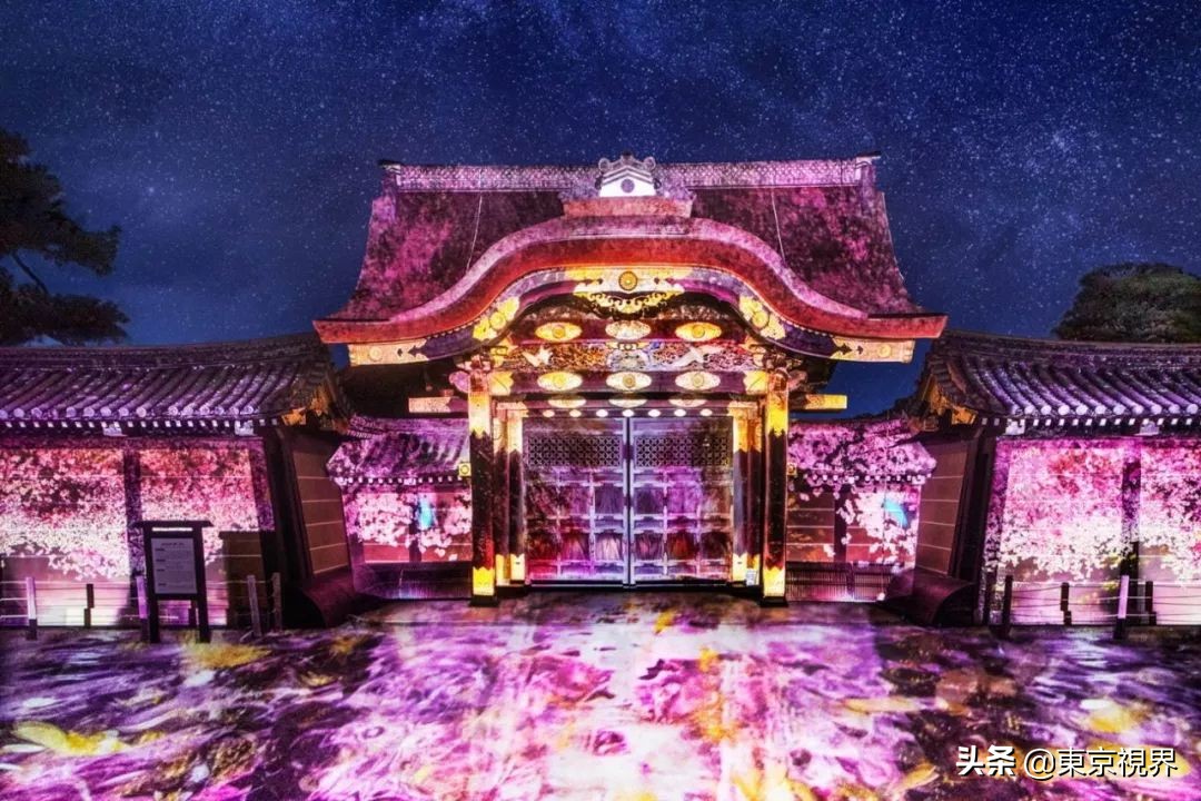 我在京都，攒下一整个春日的绝美樱色送给你。