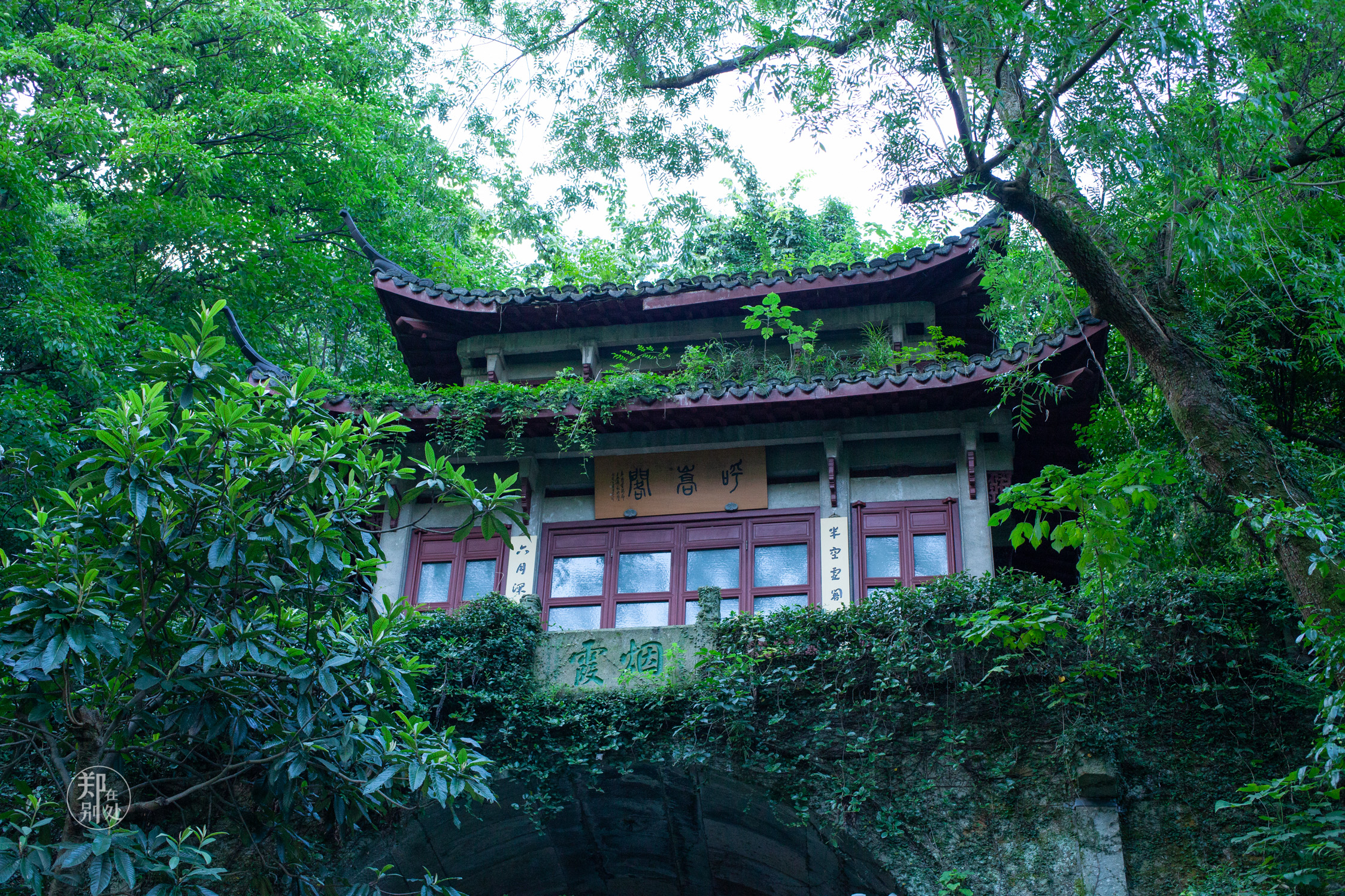 坐公交游杭州几路最好,杭州87路公交沿路风景