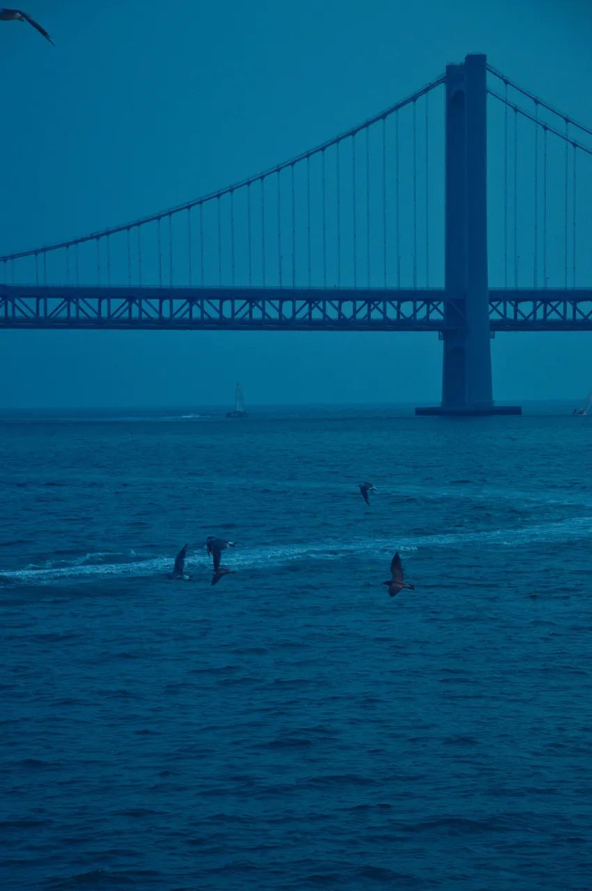 这些特大城市里，这个北方海边城市真的挺“大”
