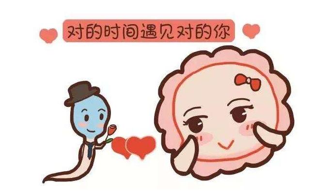 【21天好孕妈妈训练营基础课程】明明排卵期同房为何就是怀不上?