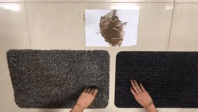 神奇的虎皮地毯,神奇宝贝的地毯