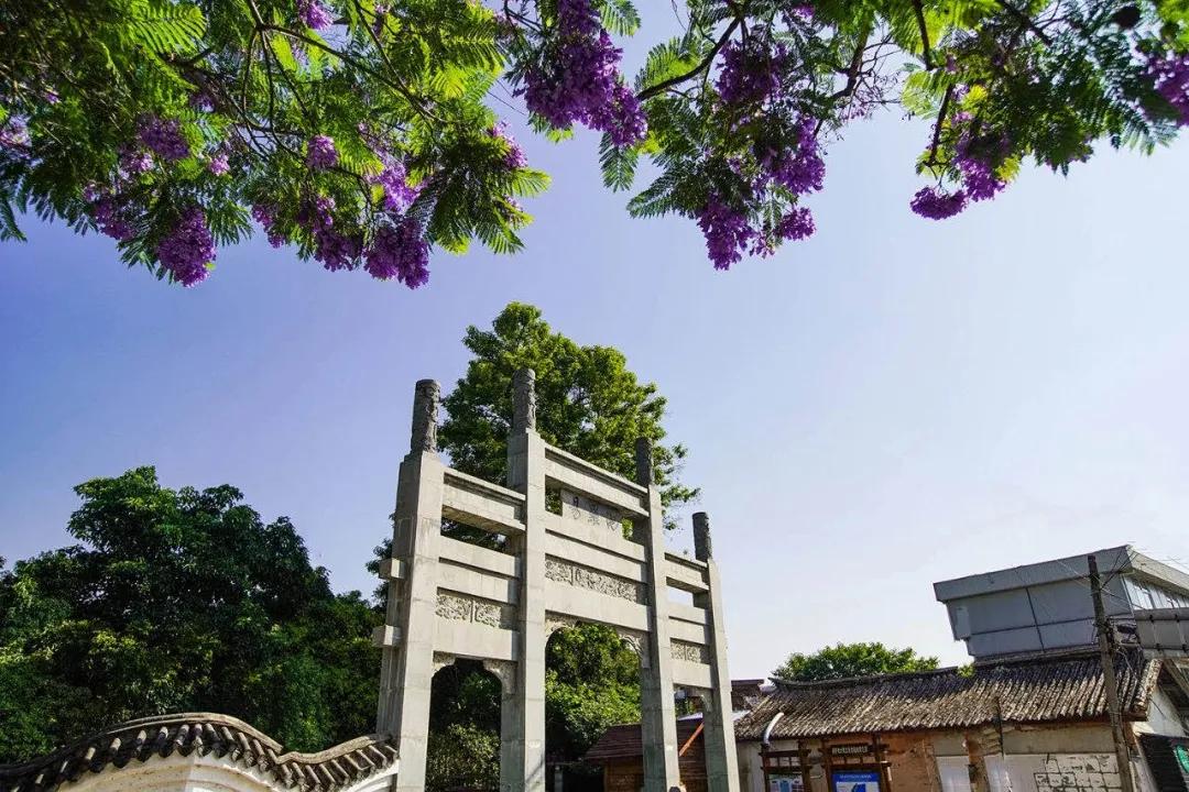 这是一个生机勃勃的地方关于它的故事才刚刚开始