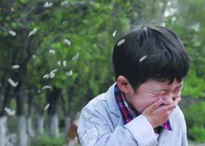 宝宝怎么预防柳絮,宝宝如何判断自己是否柳絮过敏