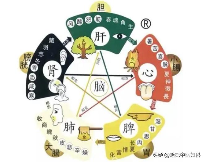 38岁得了卵巢早衰怎么办呢,47岁女人卵巢衰老怎么治疗