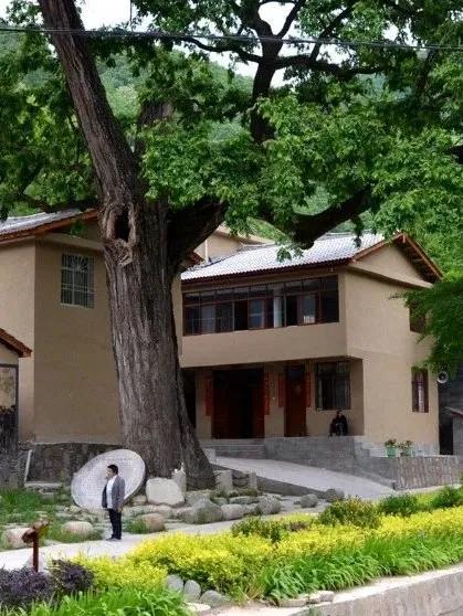 大美中国甘肃康县,央视大美中国甘肃康县