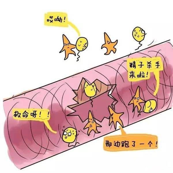 月经期间到底能不能同房?