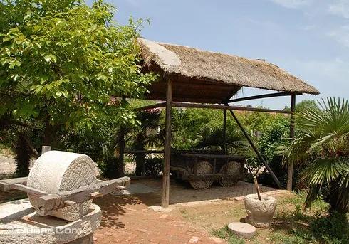 农庄经营模式一年能赚100万,农庄里什么项目最赚钱呢