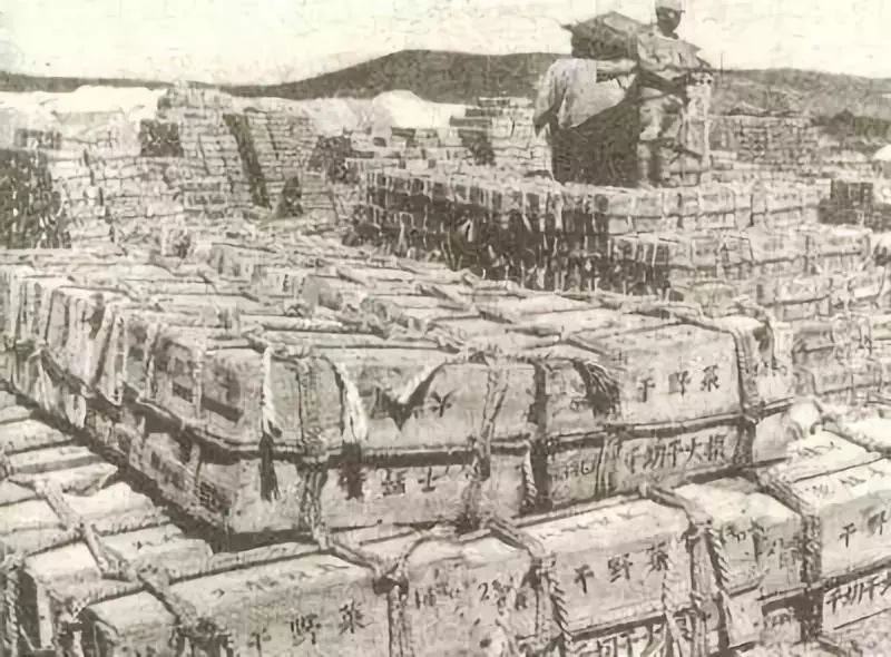 区区一个脚气病,差点灭掉日本*队军**,还改变了日本的国运……