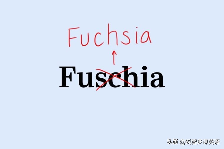 美国《读者文摘》评出最容易拼错的英语单词（二）