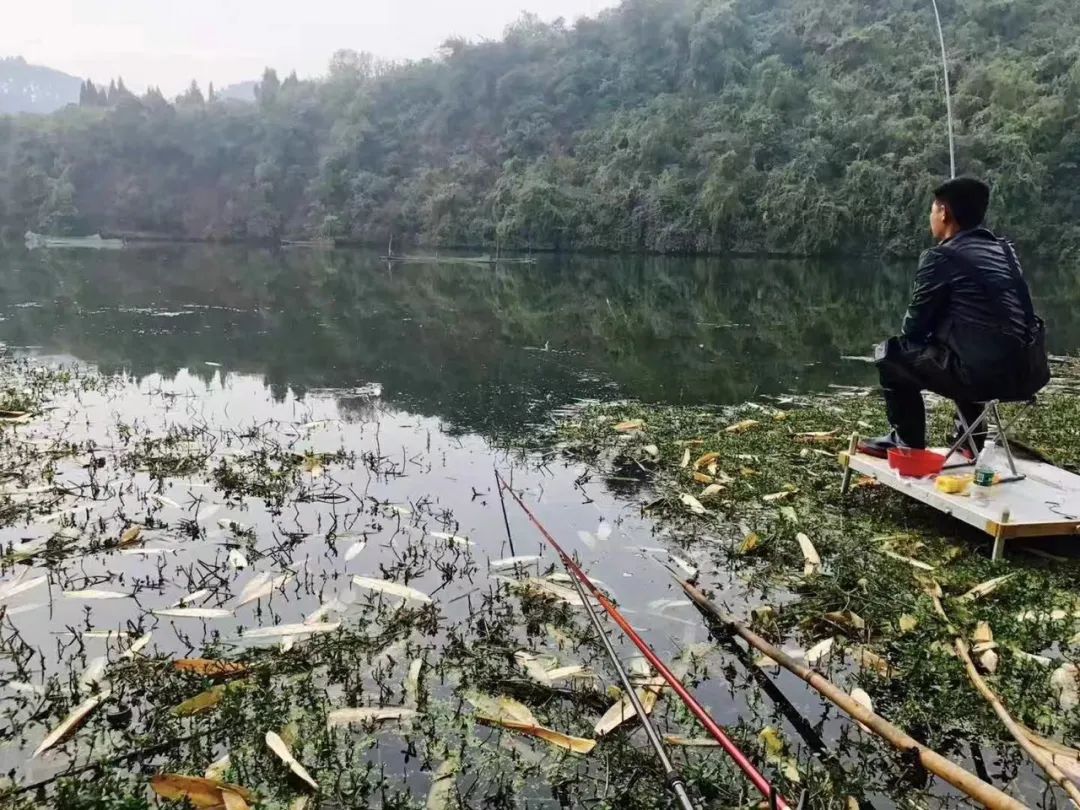 野奢不被鄙视？问问那些爱钓鱼的老孩子们，他们有活蹦乱跳的经验