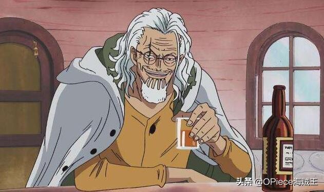 海贼王路飞会领略雷利的招式吗,海贼王的副船长雷利