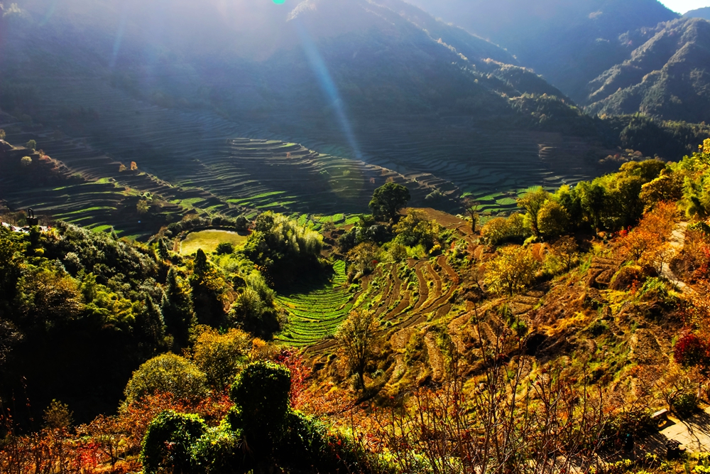 婺源篁岭梯田花海,婺源篁岭欢乐颂