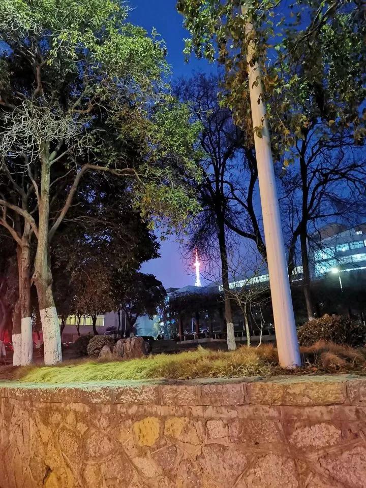 安徽省淮北师范大学录取分数线,安徽淮北十四中