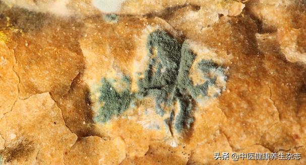 霉变的食物，切勿切掉霉点后再吃，里面的致癌物可危及生命