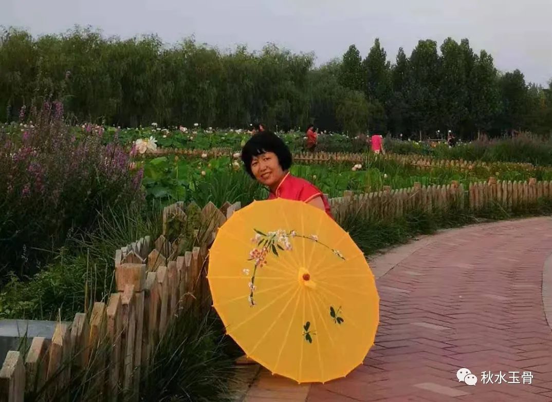 女教师作家秋水美文《来千里荷塘赴一场盛宴》