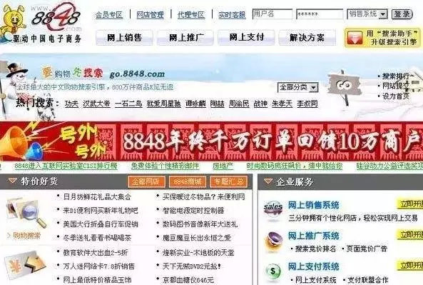 1999年网络生存测试,网络1999年