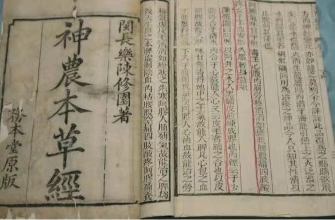 既补阴阳又补肾气肾精,既补肝肾又健脾胃中成药