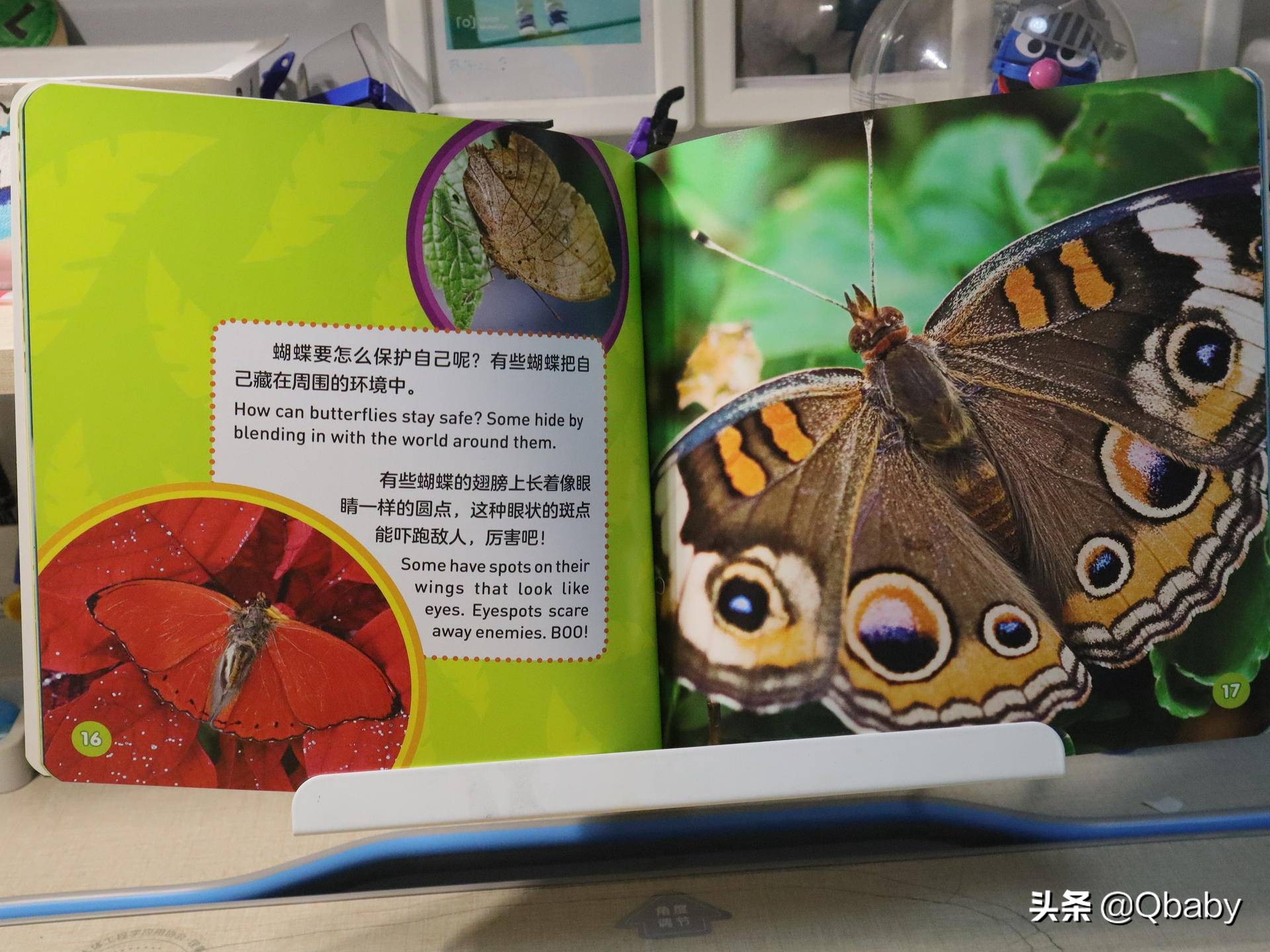 好书推荐一起玩吧绘本故事,康康绘本100本