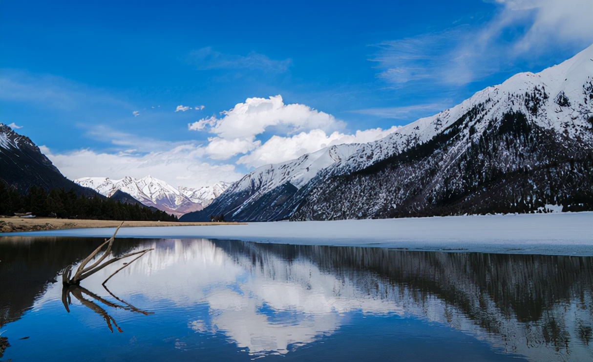 就业不比985差的4所211大学,这几所211大学可能要降分