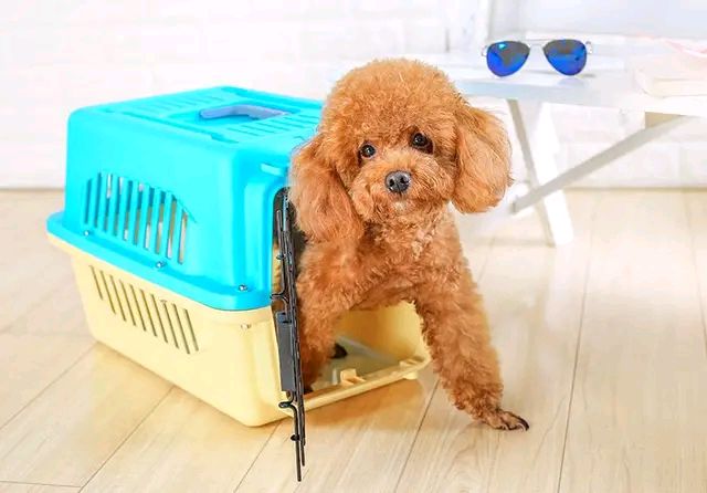 淘宝必备5种商品类型是什么,不是所有的产品都适合阿里巴巴