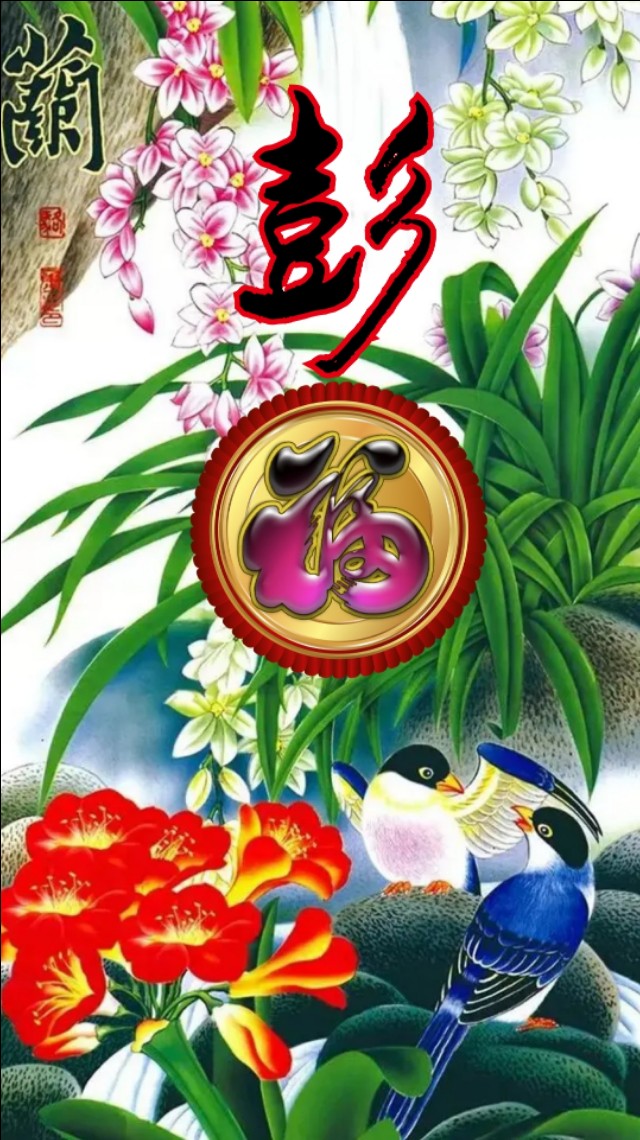 精美兰花壁纸图,兰花高贵壁纸