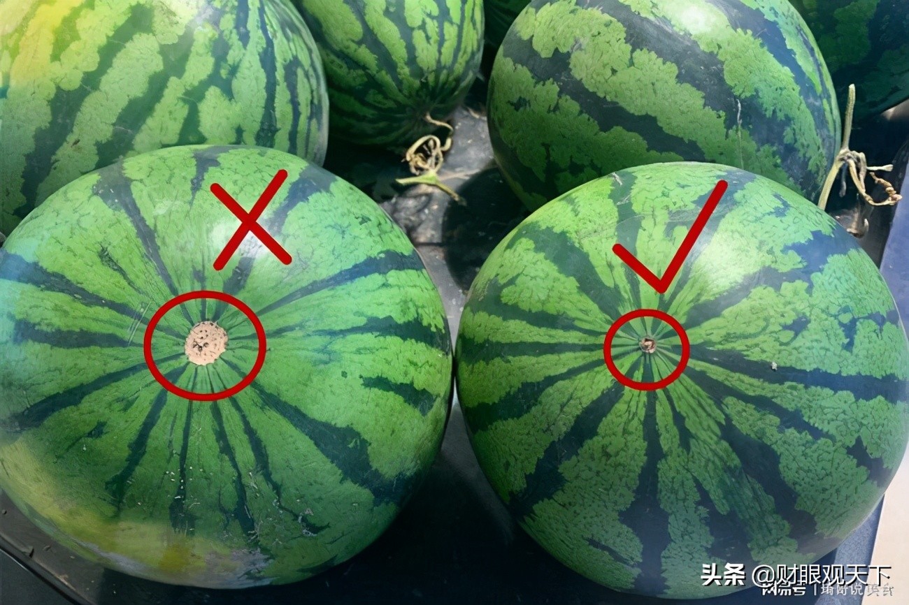 不能错过的*疆新**水果（一）