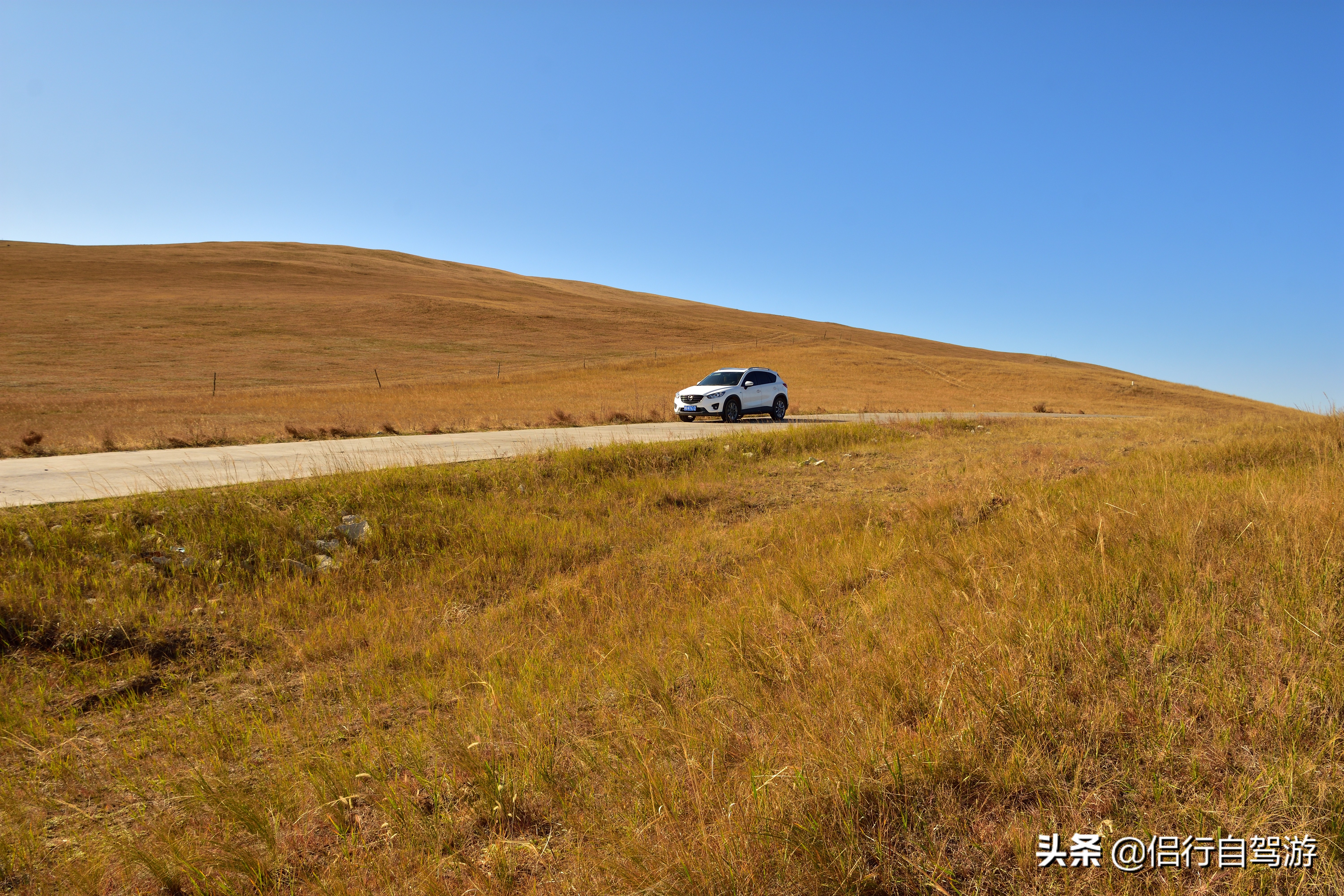 西乌旗景观大道,两条景观大道