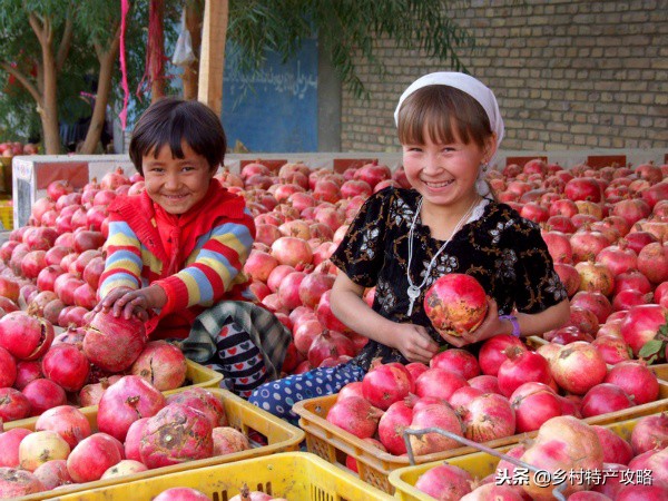 疆客巴州名优特产,疆好货新疆特产干果