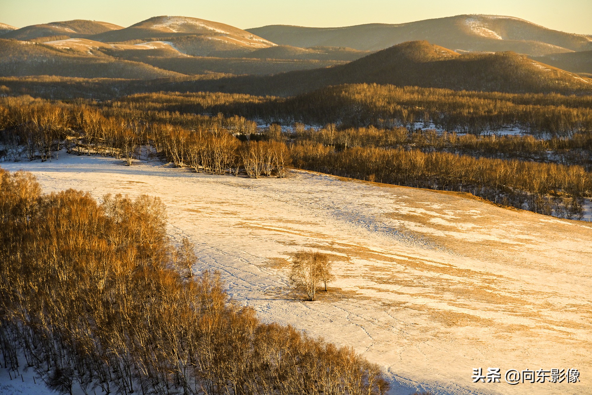 尼康z7一代高感,尼康z7ii4k60p是超采样吗