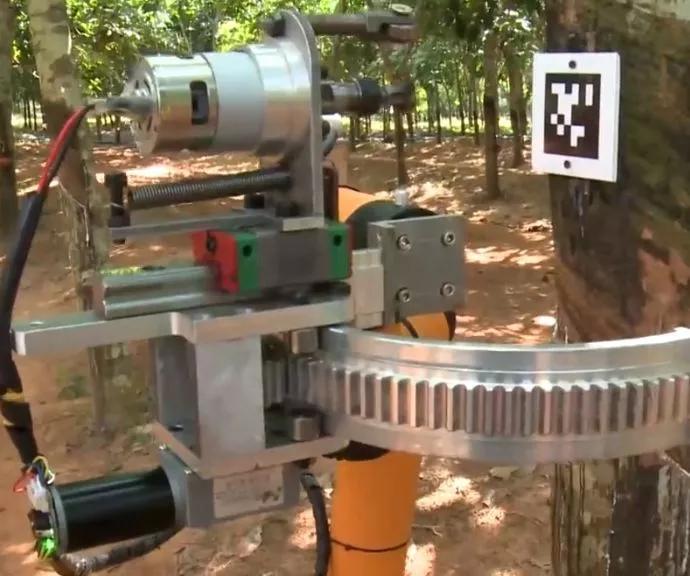 中国海南自由行,海南省自由行