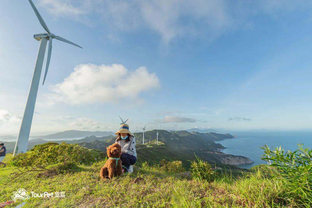 带着宠物去旅行的日常生活,想带着宠物一起旅游哪种好