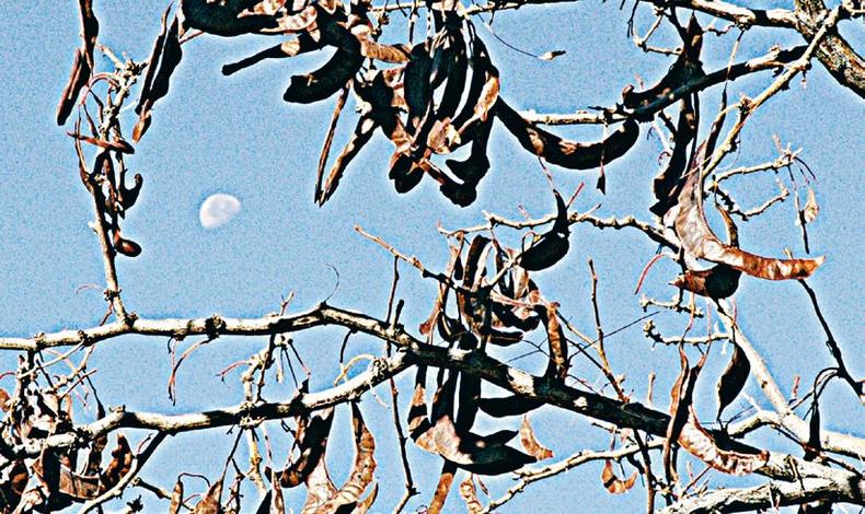 拍摄的照片怎么处理,怎么解决拍照曝光