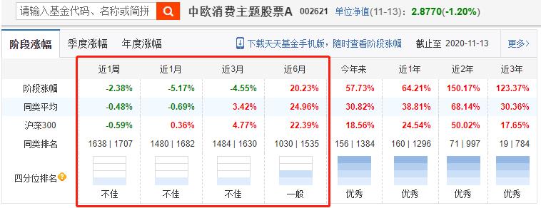郭睿中欧消费基金2021,郭睿走下神坛