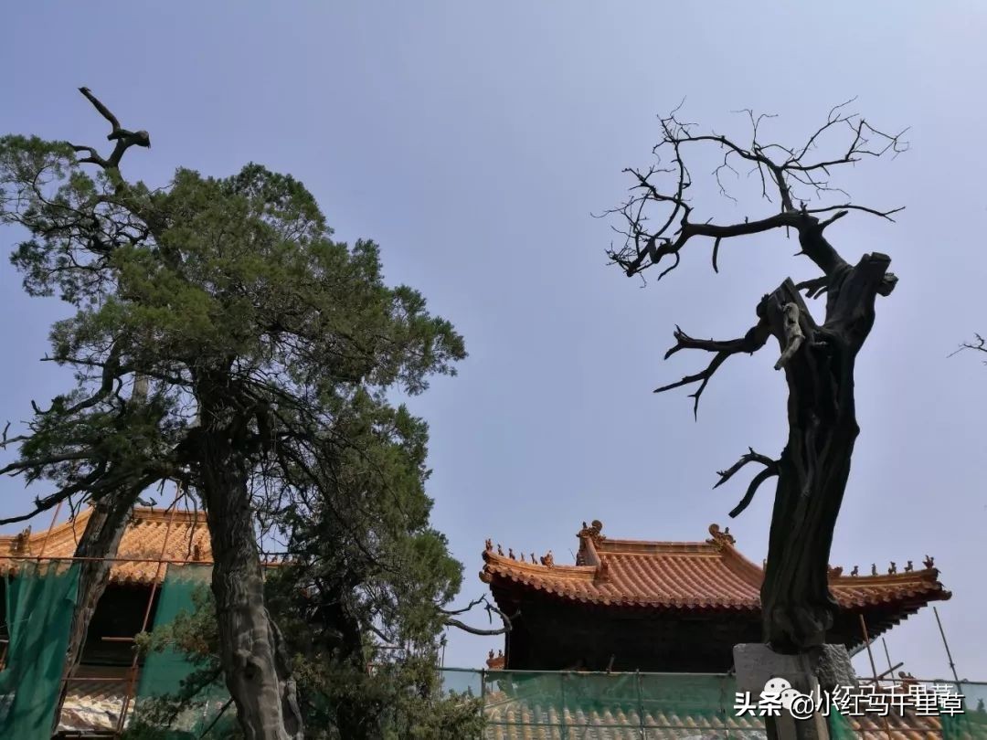 世界文化遗产曲阜孔庙孔林孔府,中国的世界文化遗产曲阜孔庙