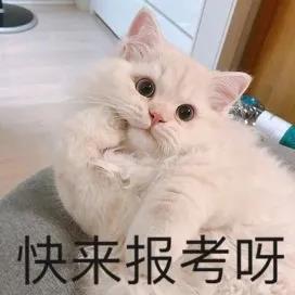 考上南邮意味着什么,有多难考上南邮