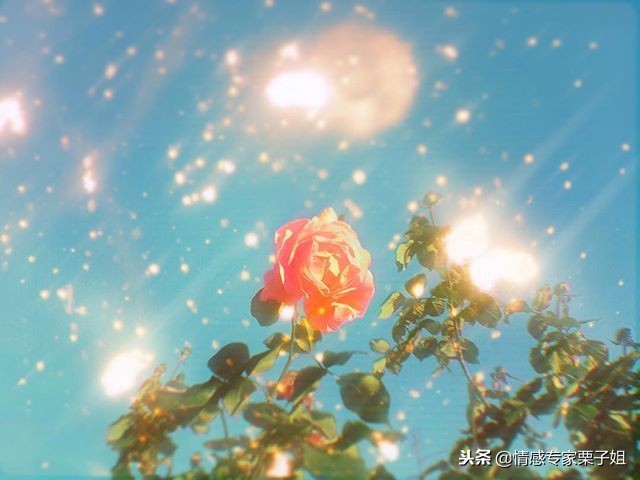 情感咨询｜栗子姐每日情感问答（1223）