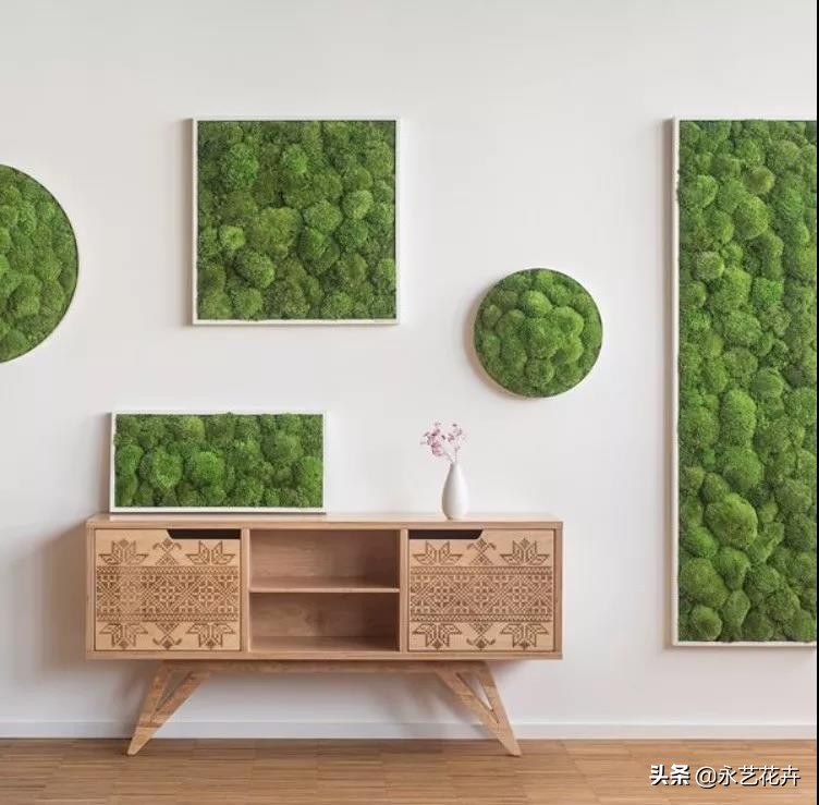 永生花苔藓植物墙,永生苔藓的价格