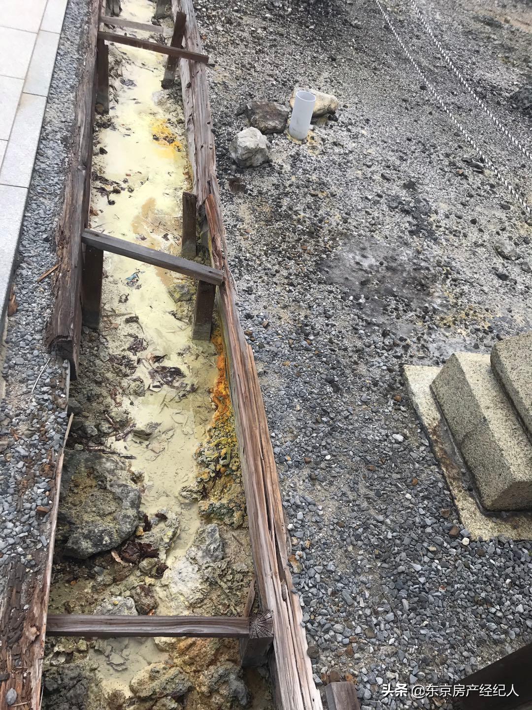 闈掓．涓ぎ瀛﹂櫌澶у,鏃ユ湰闈掓．涓ぎ瀛﹂櫌澶у