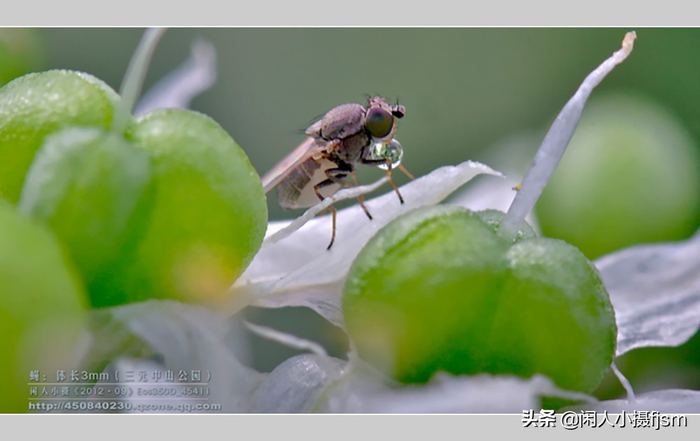 摄影三要素曝光对焦基础知识,广角的拍摄技巧及使用方法