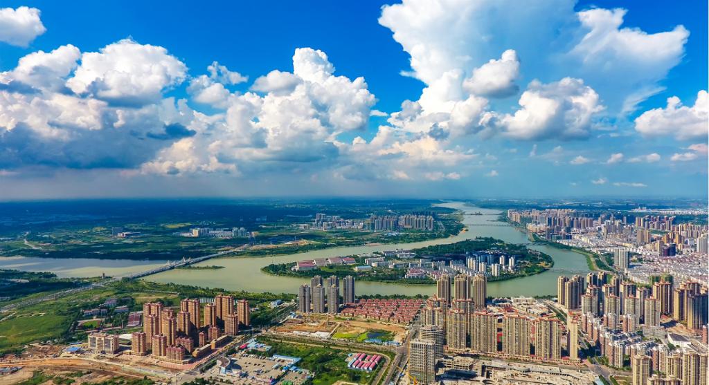 崇明岛西沙湿地公园视频,崇明西沙湿地公园芦苇荡